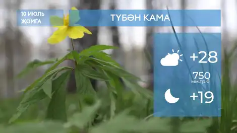 2026 елның 10нчы июленә һава торышы - телеканал НТР 24