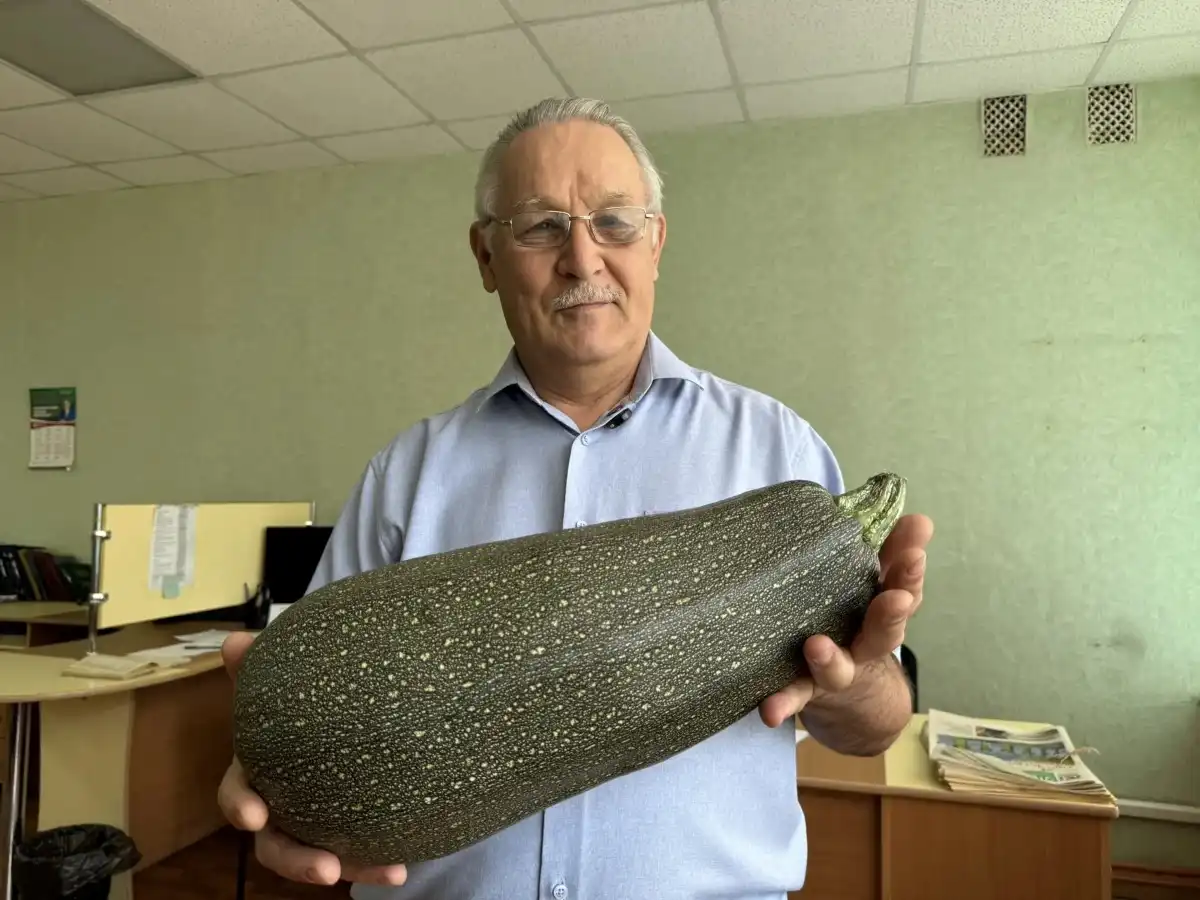 Фарит Имамов держит в руках кабачок весом почти 5 кг