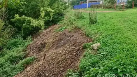 Түбән Кама районында Уратма елгасы буендагы чүплекне бетергәннәр - телеканал НТР 24