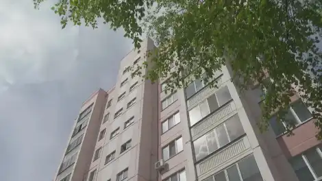 Түбән Камада идарәче компания җитәкчесенә штраф салынган - телеканал НТР 24