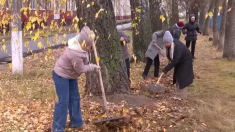 Түбән Камада гомумшәһәр өмәләр 14 октябрьдә башлана