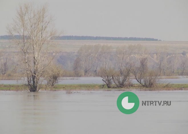 В Нижнекамске 14 градусов тепла, ясно и  без осадков