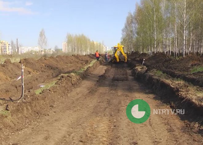 В городском парке Нижнекамска появятся белки