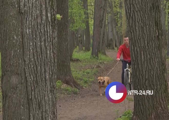 В Нижнекамске ожидается дождь с грозой, похолодает