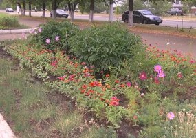 В Нижнекамск придут дожди