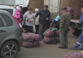 В Нижнекамске 10 сентября откроются сельхозярмарки