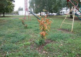 В Нижнекамске 10 градусов тепла, идет небольшой дождь