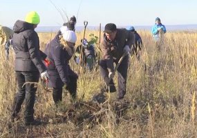 Около Нижнекамска многодетные семьи заложили новый парк отдыха