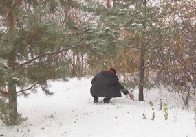 Нижнекамские ветеринары проводят профилактические мероприятия против бешенства