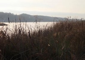 В Нижнекамске 5 градусов мороза, ожидается снегопад