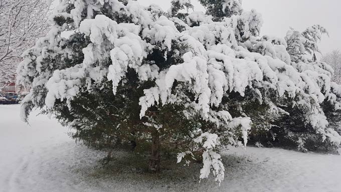В Нижнекамске -3 градуса и пасмурно, синоптики обещают снегопады