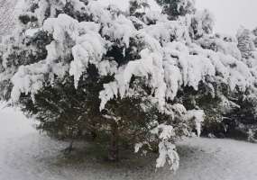 В Нижнекамске -3 градуса и пасмурно, синоптики обещают снегопады