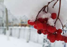 В Нижнекамске -4 градуса, ожидается снегопад и мороз - НТР 24