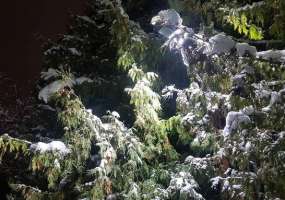 В Нижнекамске 7 градусов мороза, ожидается ветреная и снежная погода - НТР 24