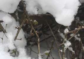 В Нижнекамске 2 градуса мороза, днем возможны осадки - НТР 24