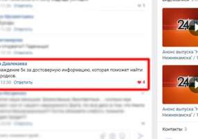 В Нижнекамске объявлено о вознаграждении за любую информацию о живодерах, убивших кошку - НТР 24