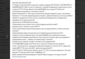 В Нижнекамске неизвестные содрали кожу с кошки и сломали лапы - НТР 24