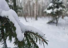 В Нижнекамске -6 градусов, завтра значительно похолодает - НТР 24