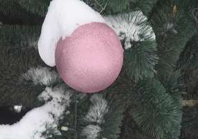 К 20 декабря в Нижнекамске будут готовы все елочные городки - НТР 24