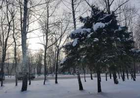 В Нижнекамске 12 градусов мороза, ненадолго потеплеет, ожидаются осадки - НТР 24