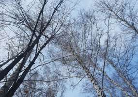 В Нижнекамске -7 градусов, в субботу ожидается ясная погода - НТР 24