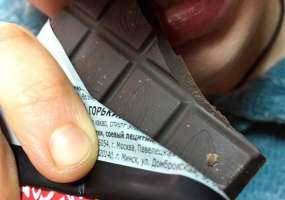 В Нижнекамске сладкоежку «кинули» на деньги - НТР 24