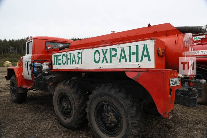 В Татарстане за последние восемь лет не допущено ни одного лесного пожара