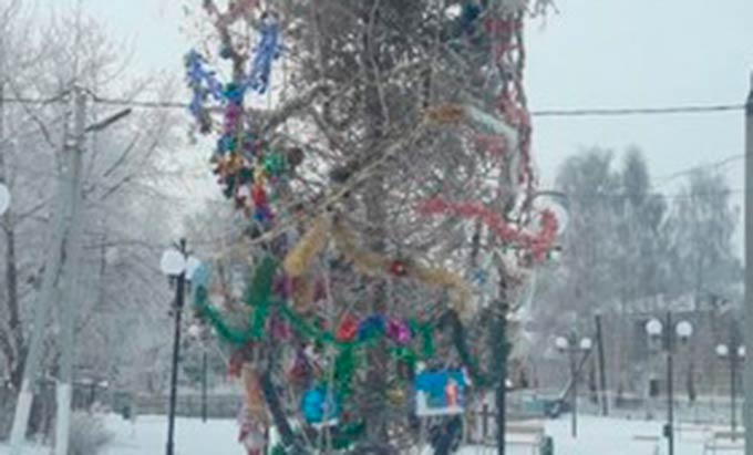 Жители одного из поселков в Татарстане попросили убрать «портящую настроение» елку