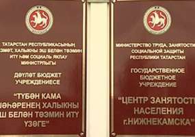В Нижнекамске пройдет ярмарка вакансий для людей с ограниченными возможностями - НТР 24