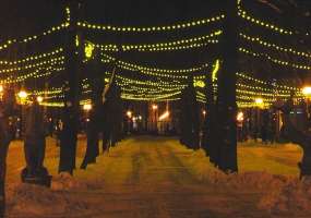 В Нижнекамске две десятилетние девочки совершили акт вандализма в парке Тукая - НТР 24