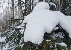 В Нижнекамске около 8 градусов мороза, ожидаются осадки - НТР 24