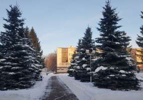 В Нижнекамске идет небольшой снег, на термометрах 8 градусов мороза - НТР 24