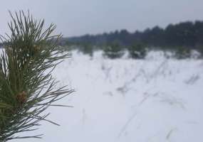 В Нижнекамске около пяти градусов мороза и пасмурно - НТР 24