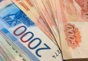 В России может появиться еще один вид алиментов - НТР 24