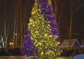 Опубликован график открытия ёлок в Нижнекамске - НТР 24