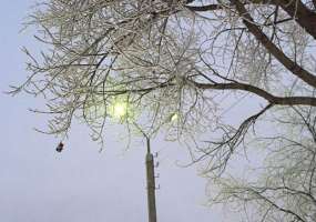 В Нижнекамске 15 градусов мороза и пасмурно - НТР 24