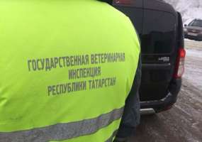 В Нижнекамске обнаружена крупная партия нелегальной рыбы - НТР 24