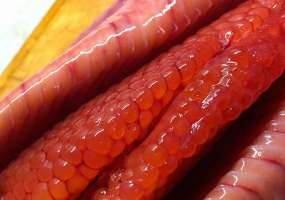 В Татарстане оперативники изъяли подозрительную черную и красную икру - НТР 24