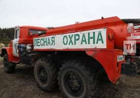 В Татарстане за последние восемь лет не допущено ни одного лесного пожара - НТР 24