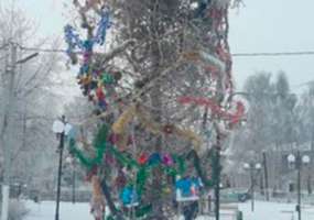 Жители одного из поселков в Татарстане попросили убрать «портящую настроение» елку - НТР 24