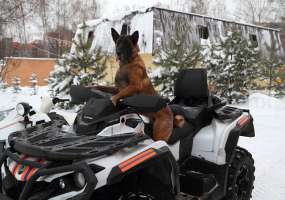 В 2018 году поисково-спасательные отряды МЧС Татарстана помогли выжить 650 попавшим в беду - НТР 24