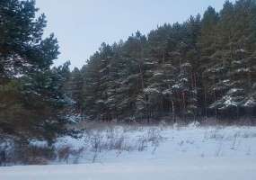 Синоптики РТ предупреждают о тумане и морозе до -25 градусов - НТР 24