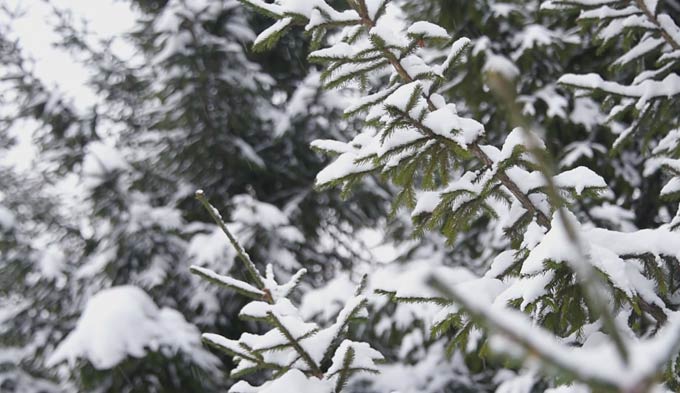 МЧС: в Татарстане ожидаются метель, гололед и снежные заносы