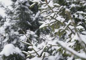 МЧС: в Татарстане ожидаются метель, гололед и снежные заносы - НТР 24