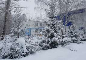 В Нижнекамске 11 градусов мороза, ожидаются осадки - НТР 24