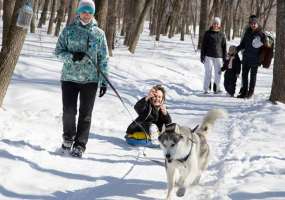 Нижнекамский «Хаски-клуб» предлагает горожанам почувствовать себя каюрами - НТР 24