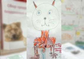 В нижнекамском детском саду проходит акция в помощь бездомным животным - НТР 24