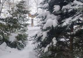 На Нижнекамск надвигается сильная метель - НТР 24