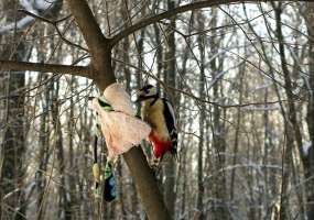 В Татарстане снова ожидается метель с заносами на дорогах - НТР 24
