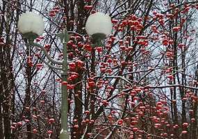 В Нижнекамске сейчас -10, ожидается мороз - НТР 24